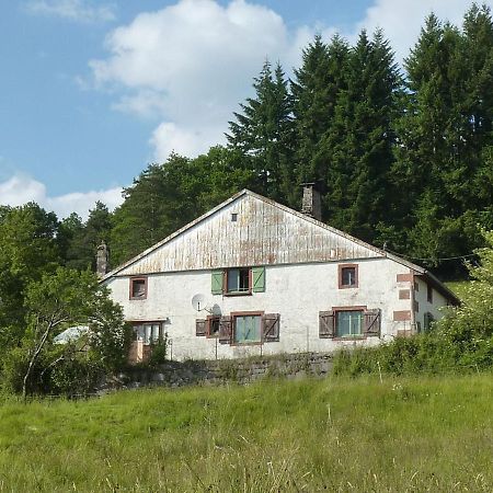 Charming Holiday Home Near The Ski Slopes Vagney ภายนอก รูปภาพ
