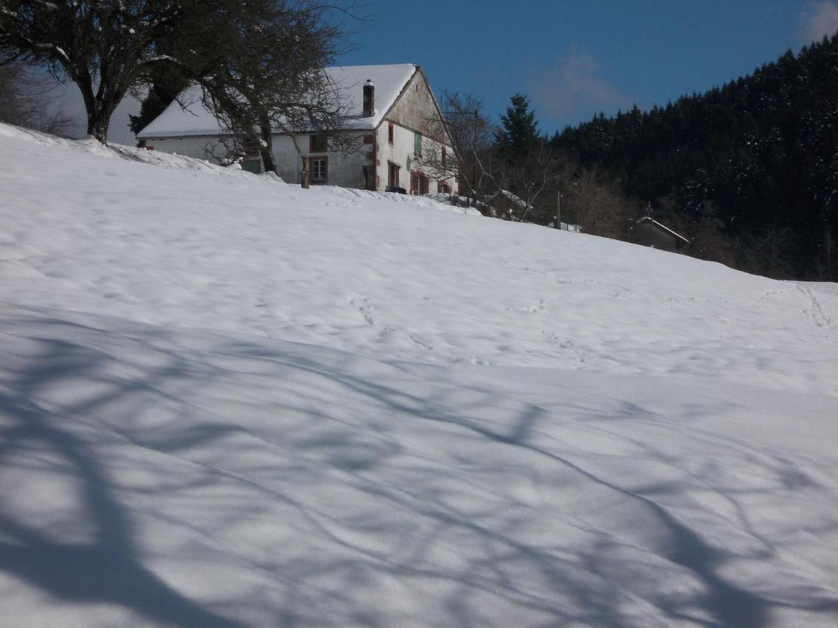 Charming Holiday Home Near The Ski Slopes Vagney ภายนอก รูปภาพ