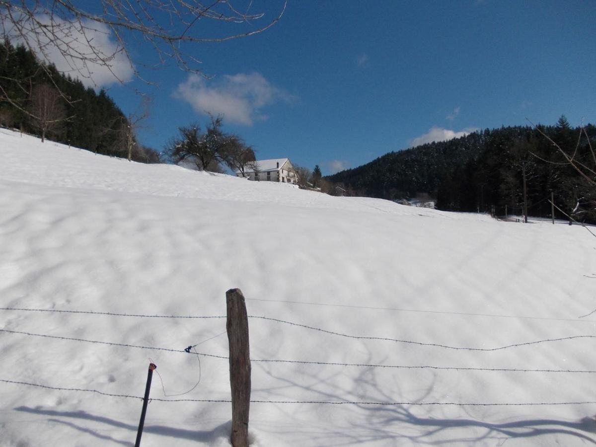 Charming Holiday Home Near The Ski Slopes Vagney ภายนอก รูปภาพ