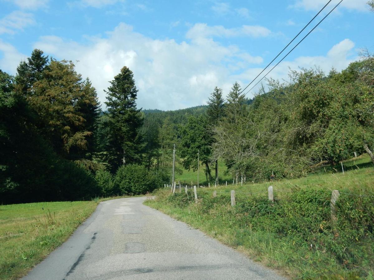 Charming Holiday Home Near The Ski Slopes Vagney ภายนอก รูปภาพ