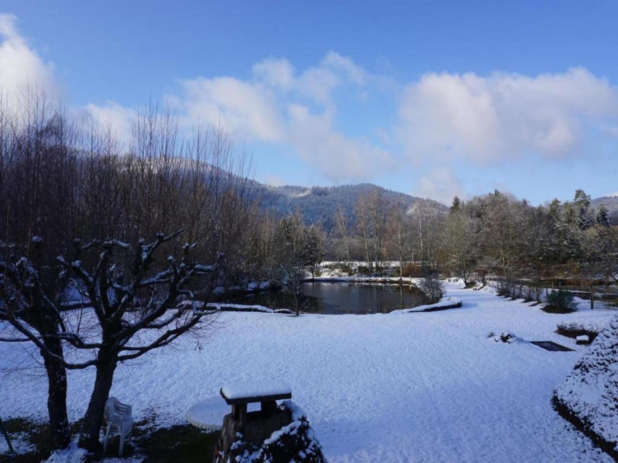Charming Holiday Home Near The Ski Slopes Vagney ภายนอก รูปภาพ